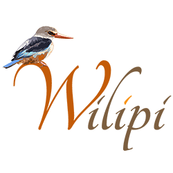 logo wilipi